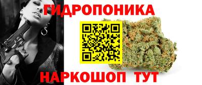 молекула духа Пугачёв
