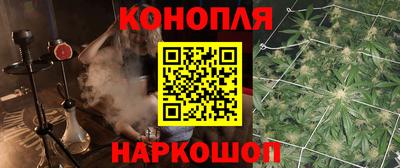 молекула духа Пугачёв