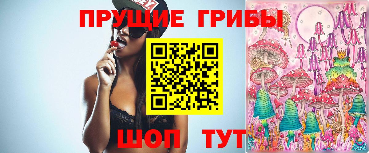 Сердобск  Галлюциногенные грибы Magic Shrooms  Вход с VPN  Псилоцибиновые грибы Psilocybine cubensis 