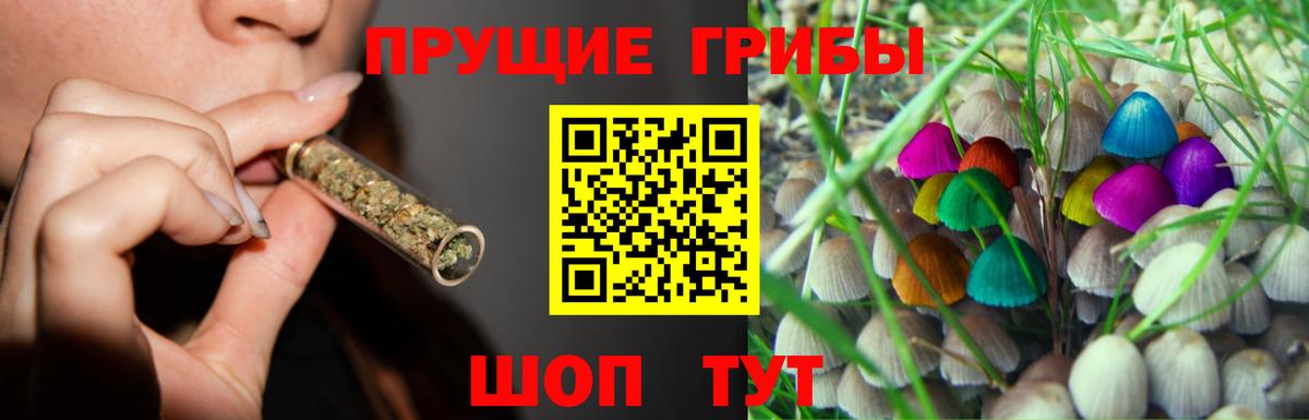 Галлюциногенные грибы Psilocybine cubensis Сердобск